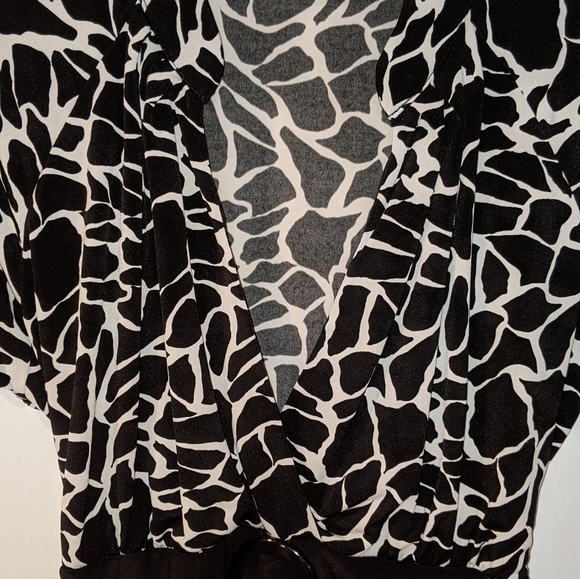 Deep V Neck Blouse with attached Waist Tie - Picture 15 of 16